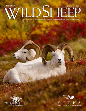 Fall 2023 Wild Sheep Cover